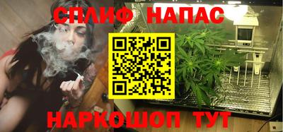 молекула духа Будённовск