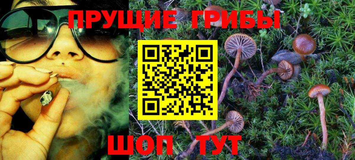 Галлюциногенные грибы прущие грибы Москва