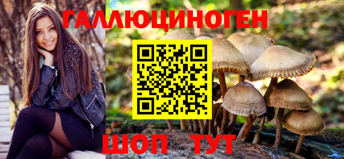 Галлюциногенные грибы мухоморы  Псилоцибиновые грибы Psilocybine cubensis  Вход с VPN  Москва 